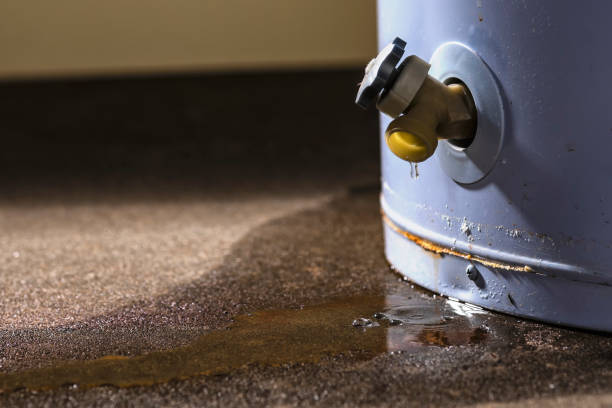 Carpet water damage restoration in Belwood, NC