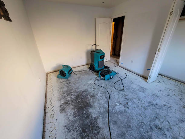 Best Water damage cleanup near me  in Belwood, NC