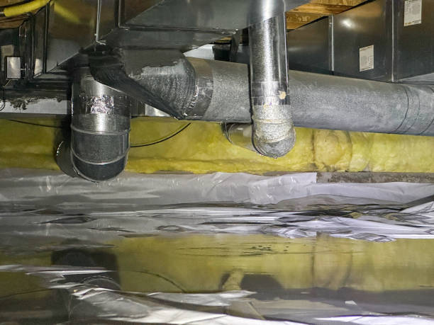 Best Water damage restoration specialists  in Belwood, NC
