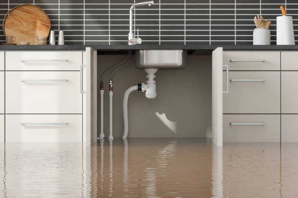 Best Water damage restoration near me  in Belwood, NC