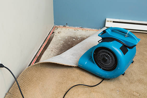 Best Carpet water damage restoration  in Belwood, NC